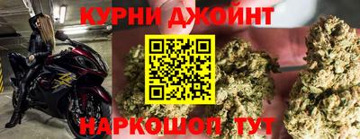 МДПВ Бийск