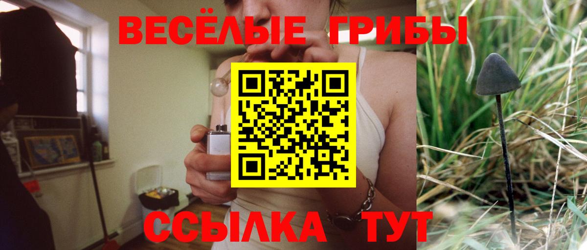 Псилоцибиновые грибы Cubensis Касимов