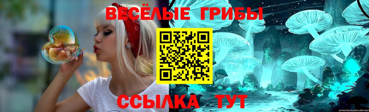 Касимов  Псилоцибиновые грибы Psilocybe  Вход с VPN 